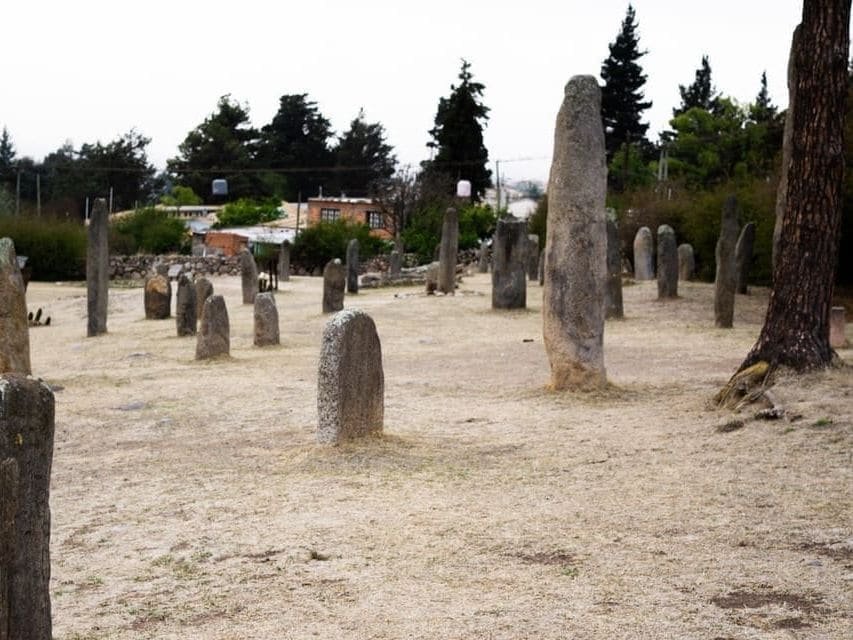 El campo de menhires de la reserva, con las estatuas líticas paradas sobre el pastizal